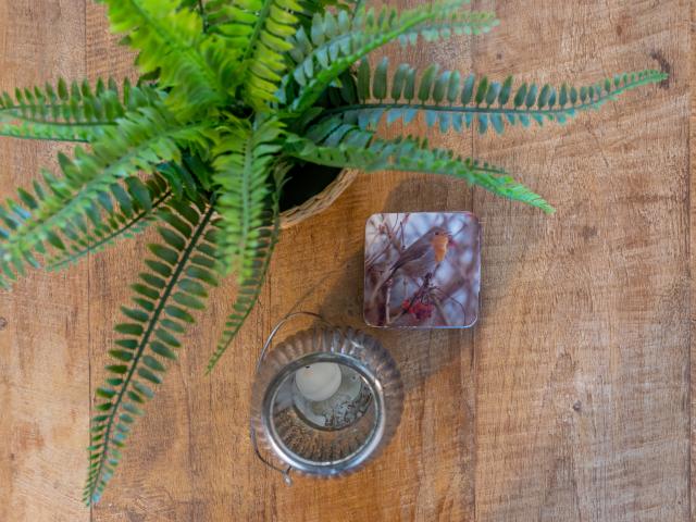 Ambiente / Nahaufnahme