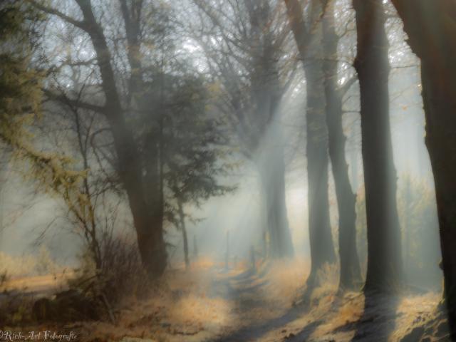 Omgeving [zomer] (1-5 km)