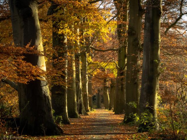 Omgeving [zomer] (1-5 km)