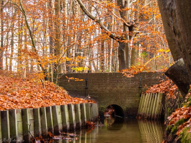 Omgeving [zomer] (1-5 km)