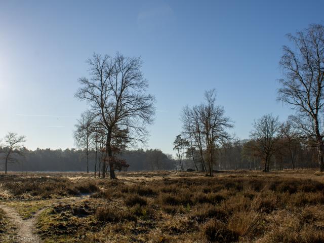 Omgeving [zomer] (1-5 km)