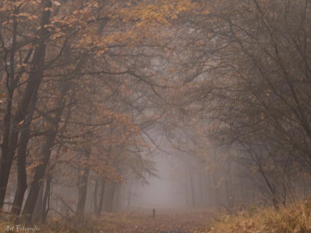 Surroundings [summer] (1-5 km)