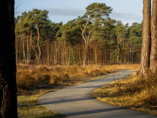 Surroundings [summer] (1-5 km)