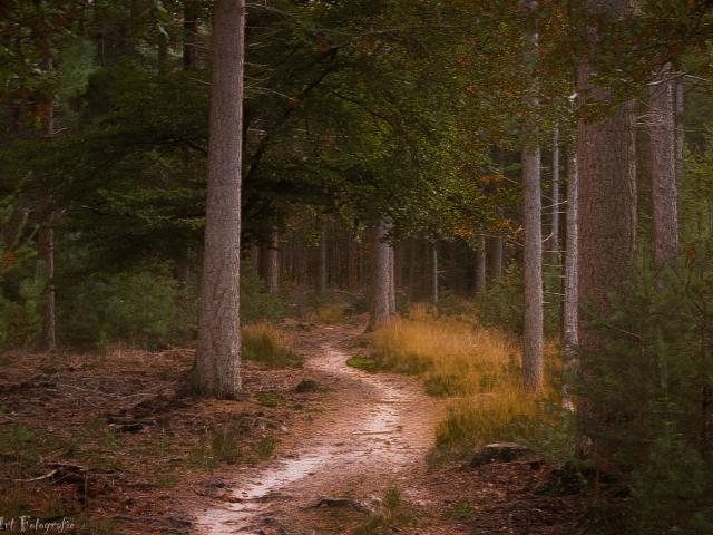 Surroundings [summer] (1-5 km)