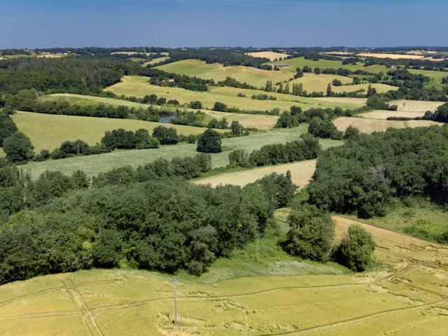 Surroundings (1-5 km)