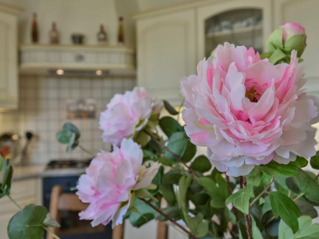Ambiance / Close-up