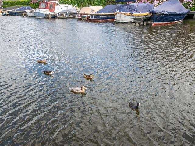 Aussicht vom Ferienhaus