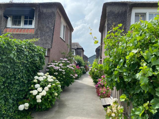 Immediate Surroundings [summer] (<1 km)