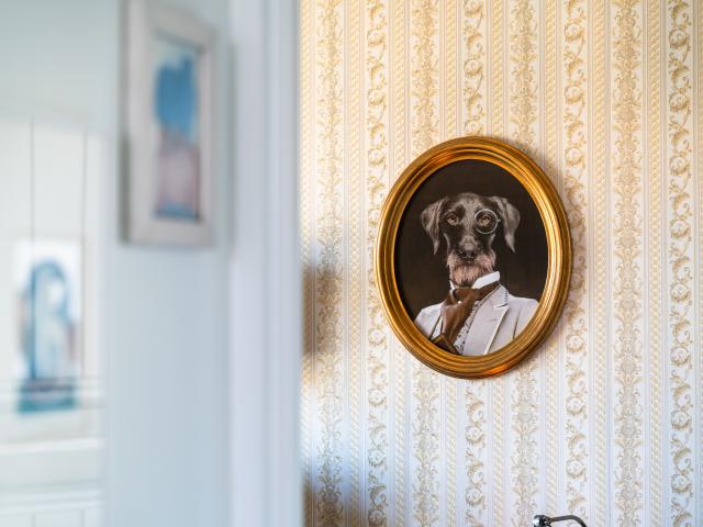 Ambiente / Nahaufnahme