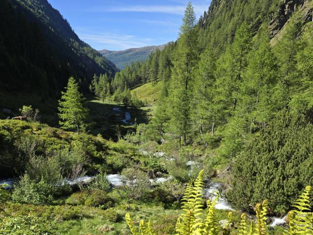 Surroundings (1-5 km)