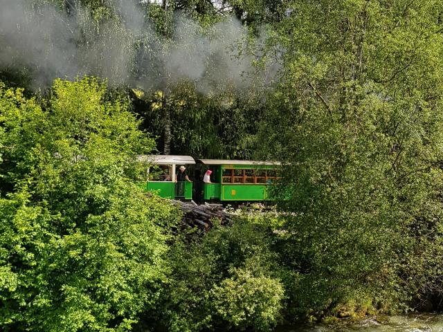 Immediate Surroundings (<1 km)