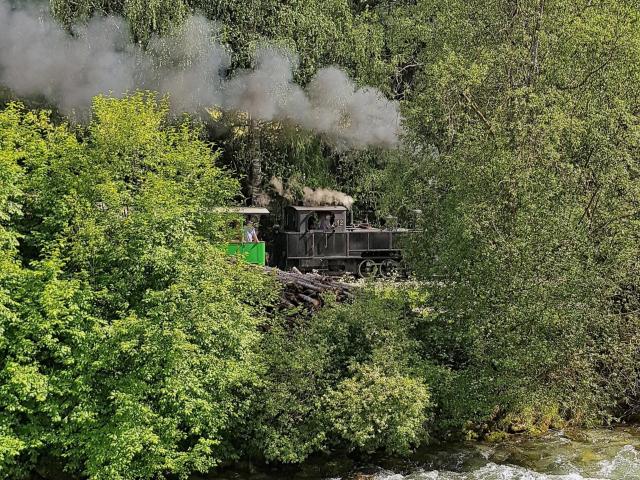 Immediate Surroundings (<1 km)