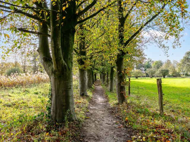 Umgebung [Sommer] (1-5 km)