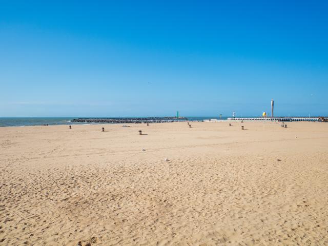 Immediate Surroundings (<1 km)