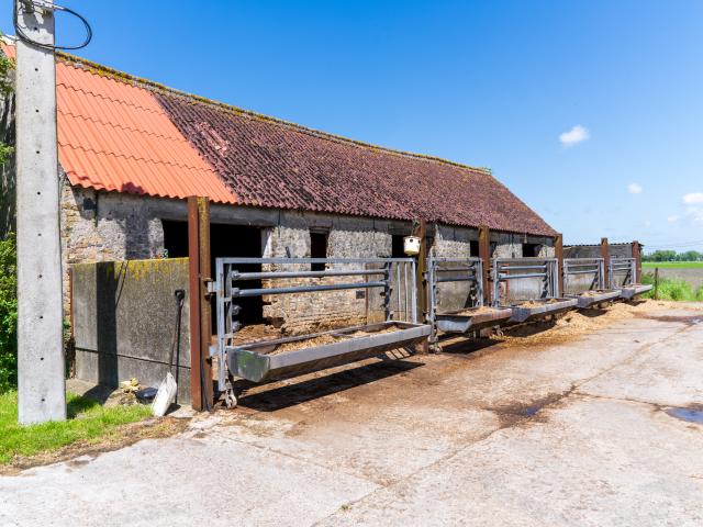 Immediate Surroundings (<1 km)