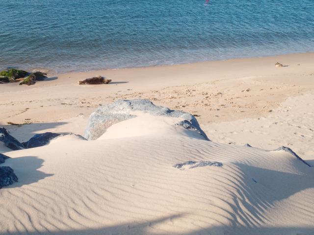 Immediate Surroundings (<1 km)