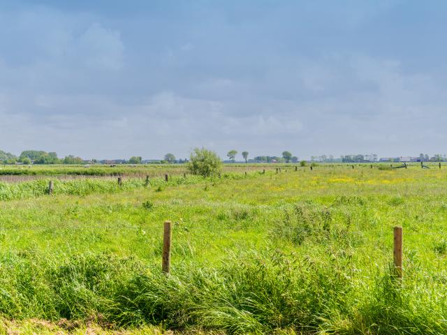 Immediate Surroundings (<1 km)