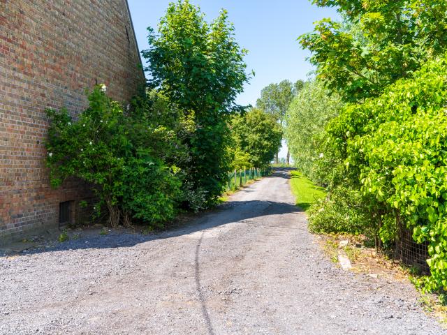 Immediate Surroundings (<1 km)