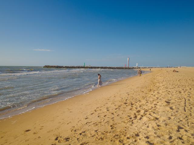 Immediate Surroundings (<1 km)