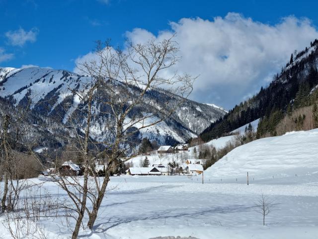 Directe omgeving (<1 km)