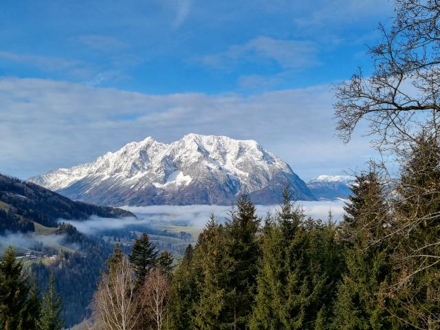 Directe omgeving (<1 km)