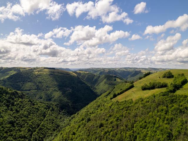 Aussicht vom Ferienhaus [Sommer]
