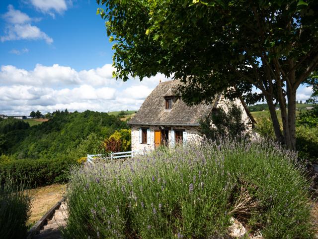 Außenseite Ferienhaus [Sommer]