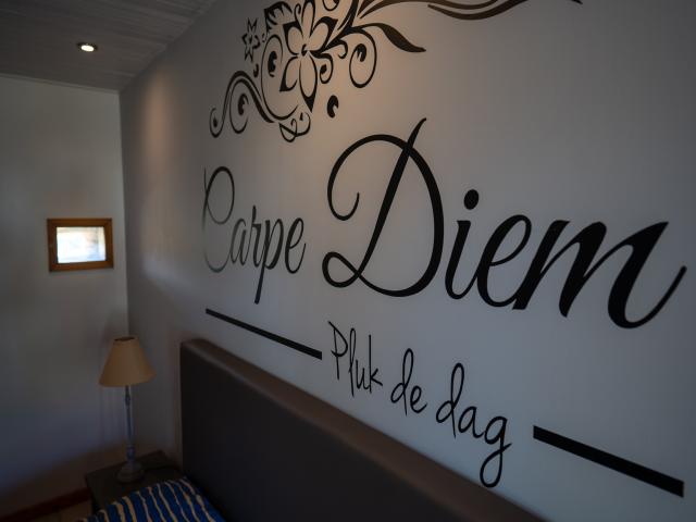 Ambiente / Nahaufnahme