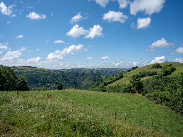 Aussicht vom Ferienhaus [Sommer]