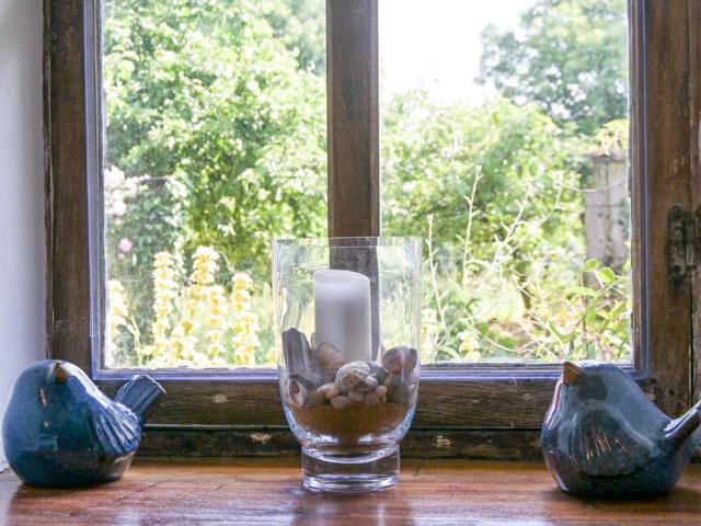 Ambiente / Nahaufnahme