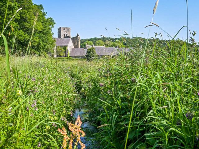 Aussicht vom Ferienhaus [Sommer]