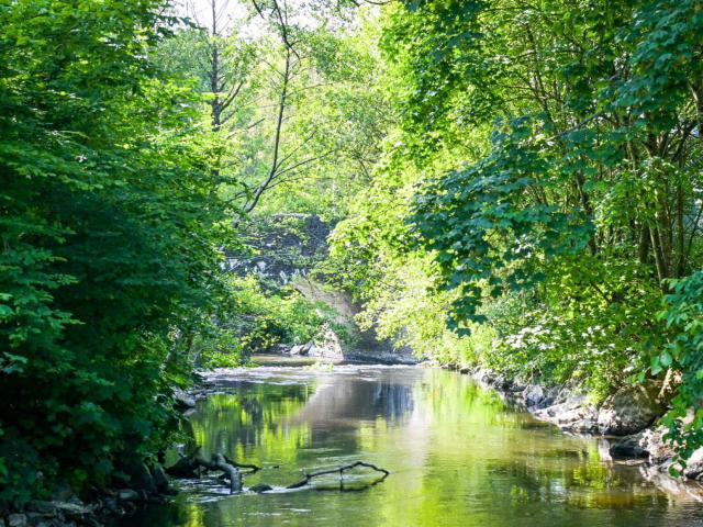 Umgebung [Sommer] (1-5 km)