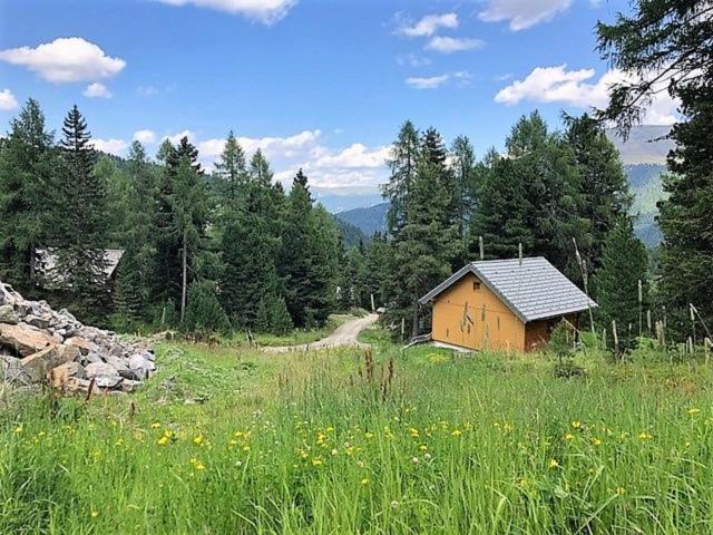 Surroundings (1-5 km)