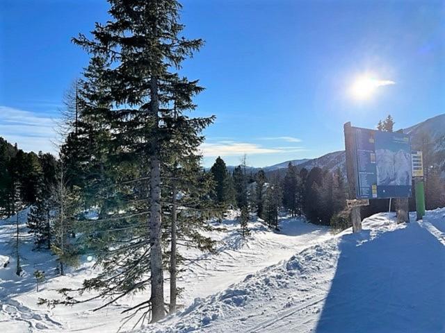 Immediate Surroundings (<1 km)