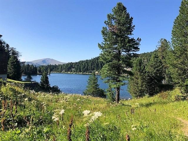 Immediate Surroundings (<1 km)