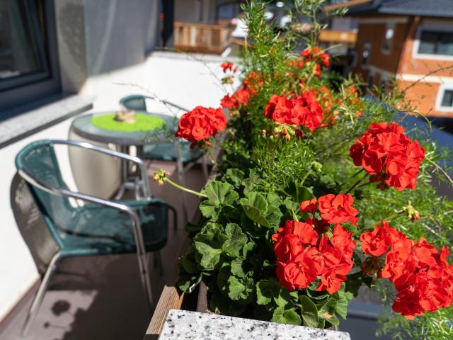 Ambiente / Nahaufnahme