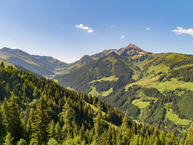 View from Holiday Home [summer]