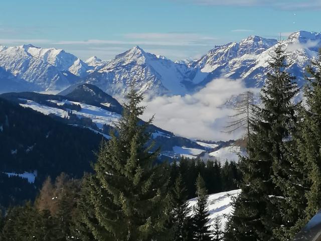 View from Holiday Home [winter]