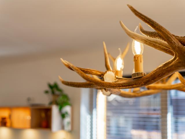 Ambiente / Nahaufnahme