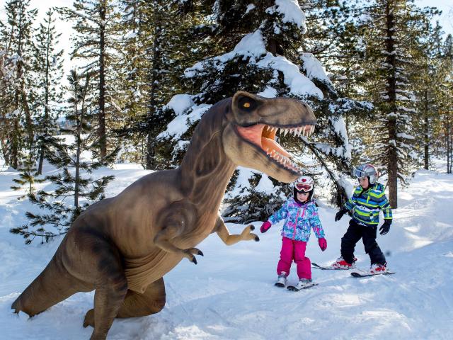 Directe omgeving [winter] (<1 km)