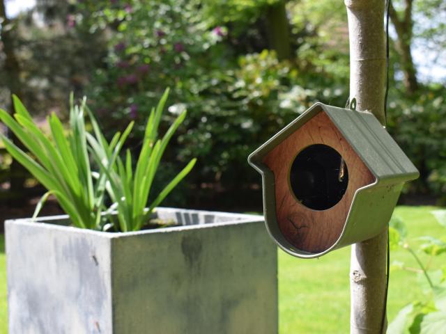 Ambiente / Nahaufnahme