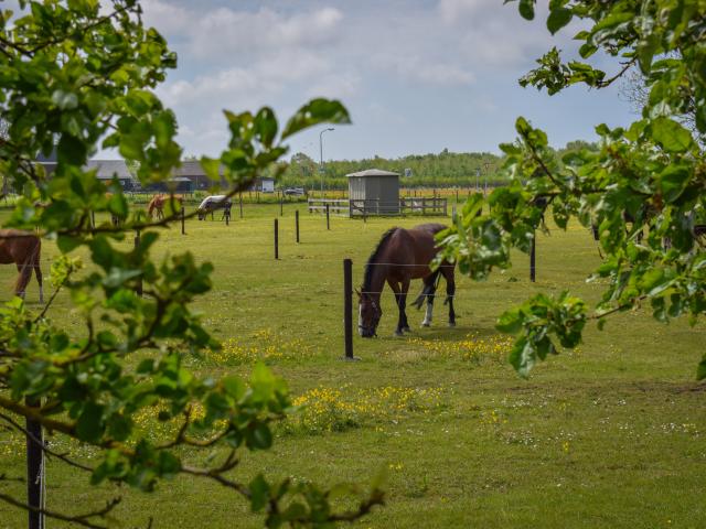 Direkte Umgebung [Sommer] (<1 km)