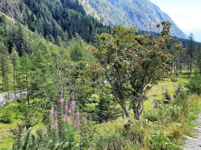 In der Region [Sommer] (>5 km)