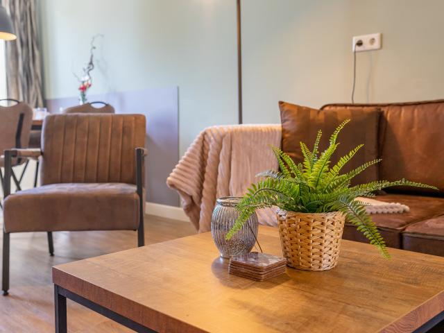 Ambiente / Nahaufnahme