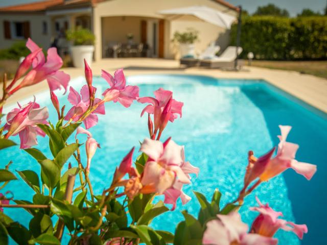 Holiday Home Swimming Pool