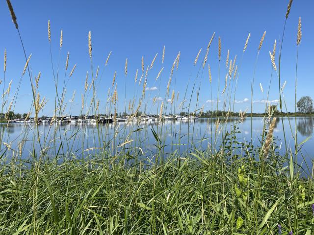 A proximité directe (<1 km)