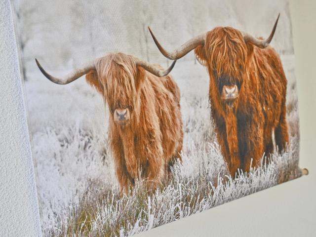 Ambiance / plan rapproché