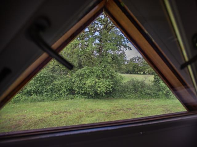 Aussicht vom Ferienhaus [Sommer]