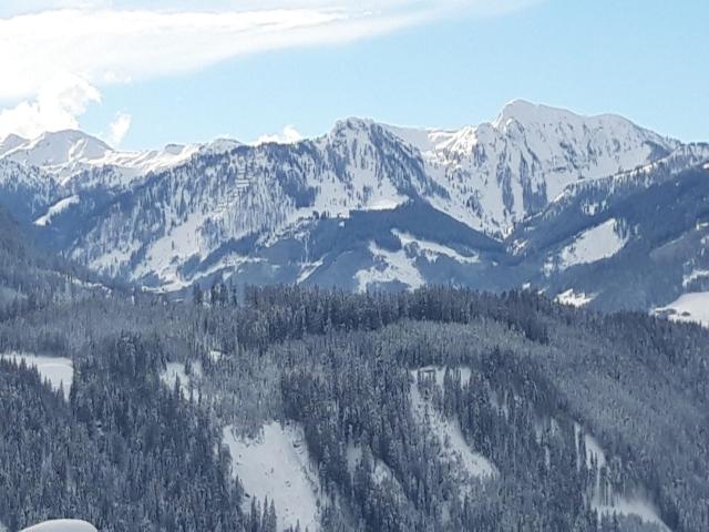 Immediate Surroundings [winter] (<1 km)