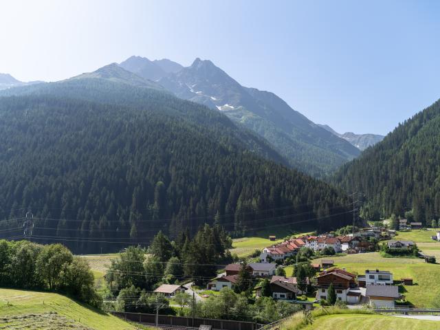 Immediate Surroundings (<1 km)